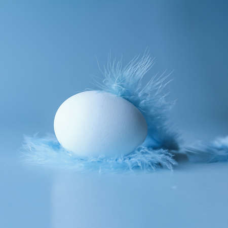 egg with blue feathers on a blue background, square formatの写真素材