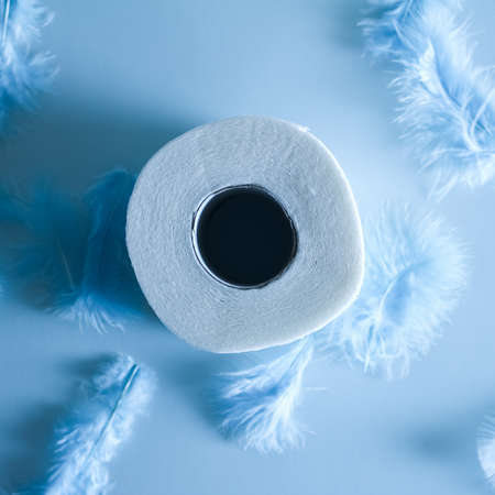 Toilet paper surrounded by blue feathers on a blue background, top view, feather soft paperの写真素材
