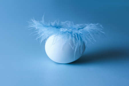 An egg with a blue feather lying on it on a blue backgroundの写真素材