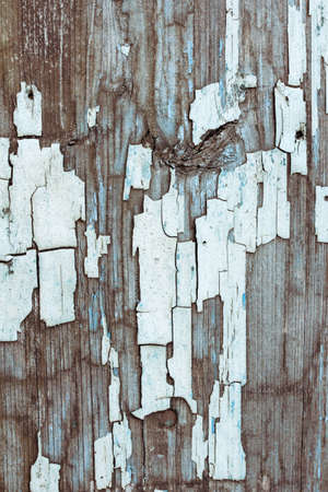 Wood texture with peeling white paintの写真素材