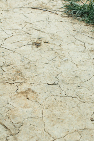 Cracks in the ground, dry ground, vertical formatの写真素材