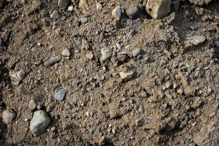 Texture of sandy ground mixed with stones, ground with stones background