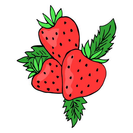Sketch illustration of a pile of red strawberries on a white background. Icon. Vector isolated image for video, mobile applications, web sites, print projects.のイラスト素材