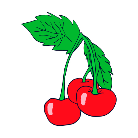 Sketch illustration of a bunch of red cherries bananas on a white background. Icon. Vector isolated image for video, mobile applications, web sites, print projects.のイラスト素材