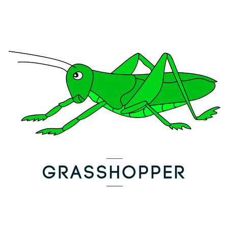 Green grasshopper. Vector isolated image of a locust. Handwritten image. For prints, posters, videos, mobile apps, web sites and print projects.のイラスト素材