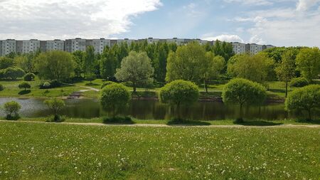 Beautiful city park. Sunny weather. Late spring