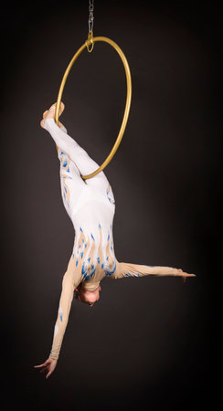 A slender,dark-haired girl - an air acrobat in a white and blue suit, performs exercises in an air ring. Studio shooting on a dark background.の写真素材