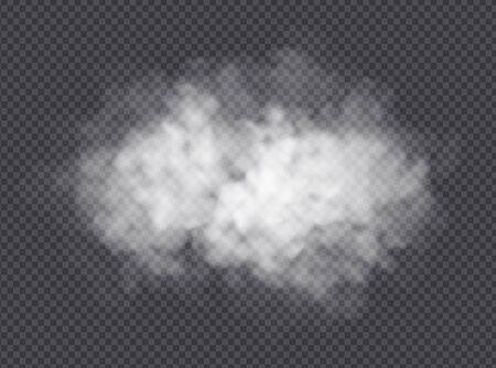 Fog or smoke cloud isolated on transparent background. Realistic smog, haze, mist or cloudiness effect. Realistic vector illustration.のイラスト素材