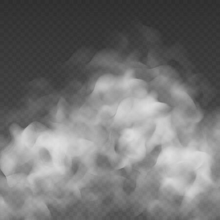 Fog or smoke cloud isolated on transparent background. Realistic smog, haze, mist or cloudiness effect. Realistic vector illustration.のイラスト素材