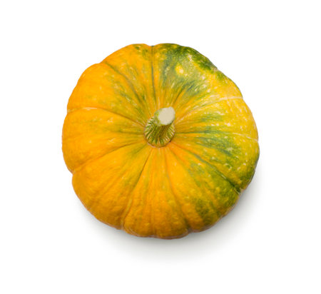 Pumpkin on white background. Top view of Aboveの写真素材
