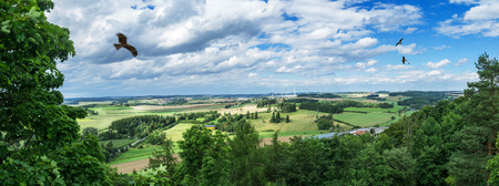 Panorama from a high altitude to a valley with a flying eagle, fields and trees. Hof, Bavaria, Germany.の写真素材