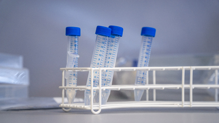 Laboratory work. Tubes for cell splitting at the sterile bank.の写真素材