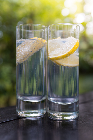 Sparkling gin tonic in long drink glasses in the garden on a nice summer day.の写真素材