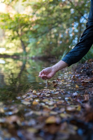Male hand in a natural lake with autumn leaves.
