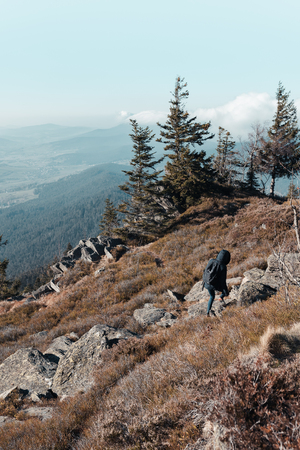 Unrecognizable woman is hiking in the upper bavarian forest in the near of the Osser, germany. Color graded.の写真素材