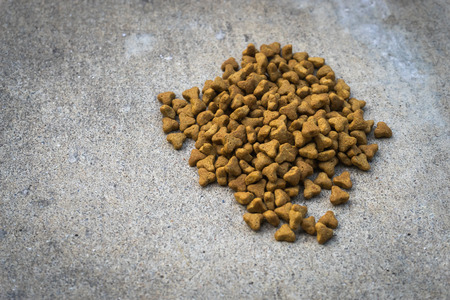 Feeding Cat Foodの写真素材