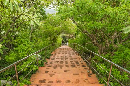 Downstair pathway view in the parkの写真素材