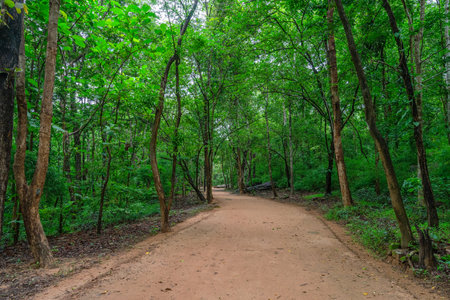 A dirty road along with green trees cover in background at Phu Phra Bat Historical Park, Udon Thani,...