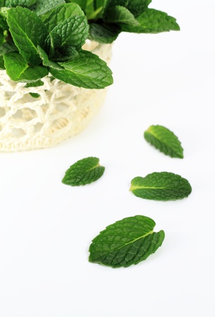 Leaf of apple mint の写真素材