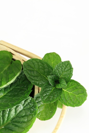 Apple mint of the basketの写真素材