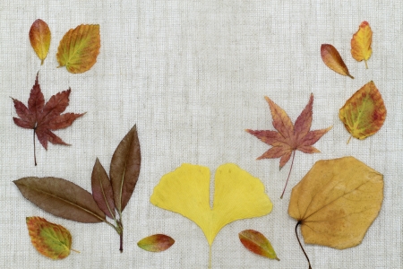 Image background of the arrangement _ late fall of dead leavesの写真素材