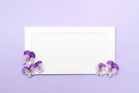 Lovely message board_Purple violaの写真素材