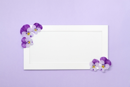 Lovely message board_Purple violaの写真素材