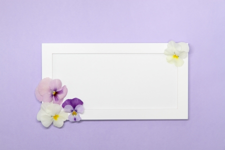 Lovely message board_Purple violaの写真素材