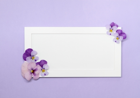 Lovely message board_Purple violaの写真素材