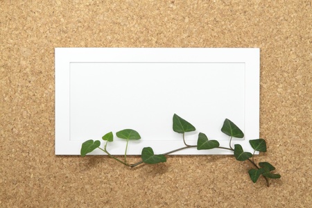 White board of the leaf of the ivyの写真素材