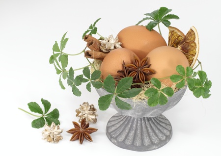 Arrangement of an Easter egg and the plantの写真素材