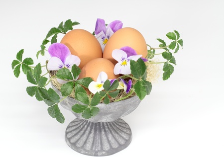 Arrangement of an Easter egg and the plantの写真素材