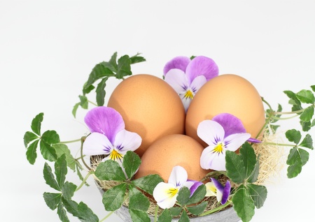 Arrangement of an Easter egg and the plantの写真素材