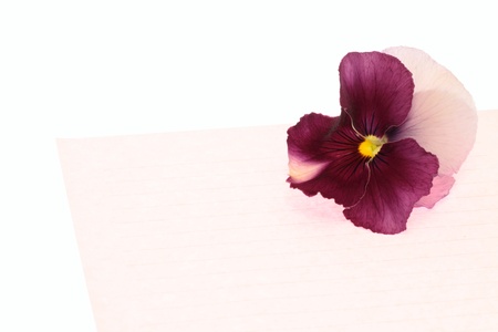 Pansy of the purplish red and Love letterの写真素材