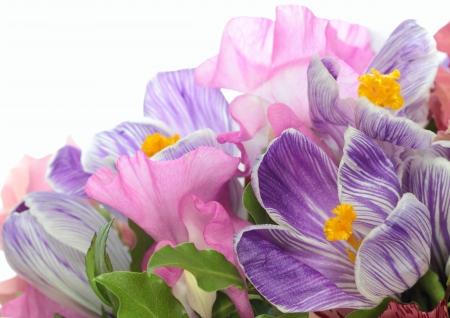 Flower arrangement of a gentle sign of springの写真素材
