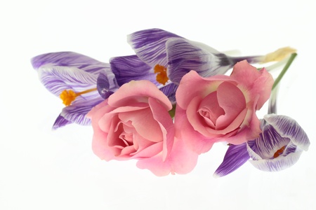 Bouquet of a rose and the crocusの写真素材