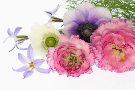 Beautiful spring bouquet of the white backgroundの写真素材