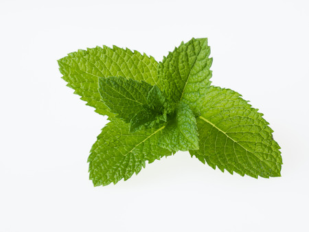 Green apple mint isolated on white backgroundの写真素材