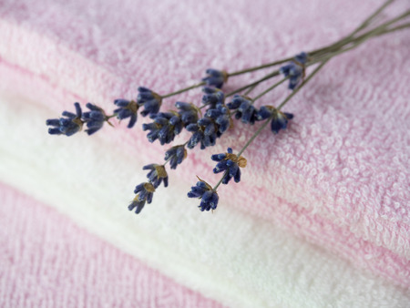 Gentle color cotton towels and dry lavenderの写真素材