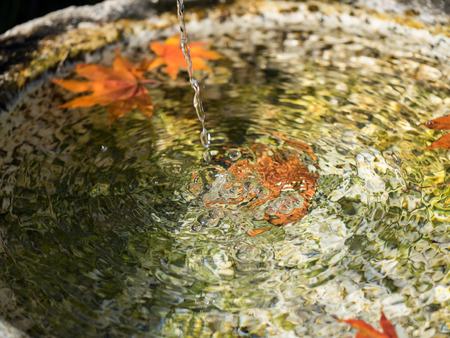 Spring water and dead leaves in the Japanese traditional garden washbowlの写真素材
