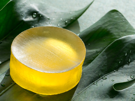 Herb soap and Monsteraの写真素材