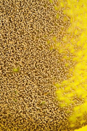 Pelleted Compound Feed for chicken on tray.の写真素材