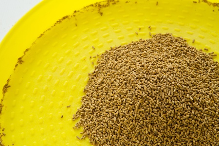 Pelleted Compound Feed for chicken on tray.の写真素材