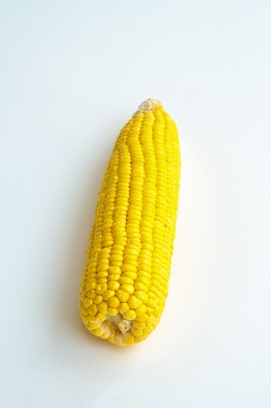 fresh corn on white backgroundの写真素材