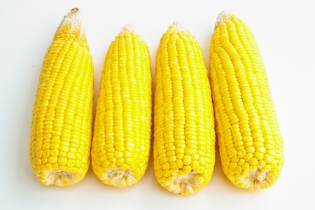 fresh corn on white background