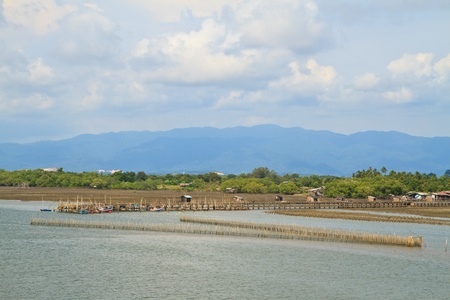 fish farmingの写真素材