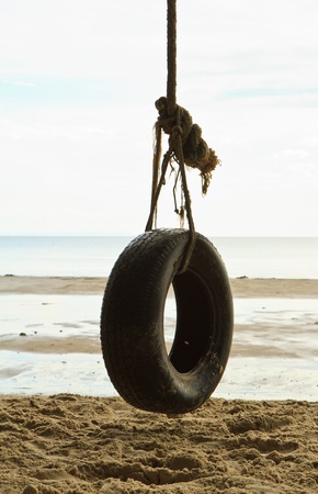 Swing hanging  wheel from  treeの写真素材