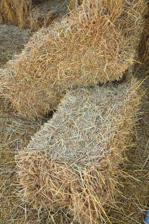 Straw in Farm of cowの写真素材