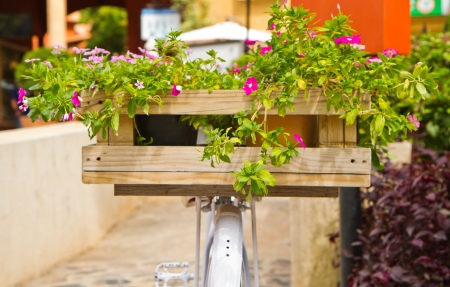 white bicycle and flowersの写真素材