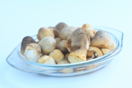 Fresh mushrooms on bowlの写真素材